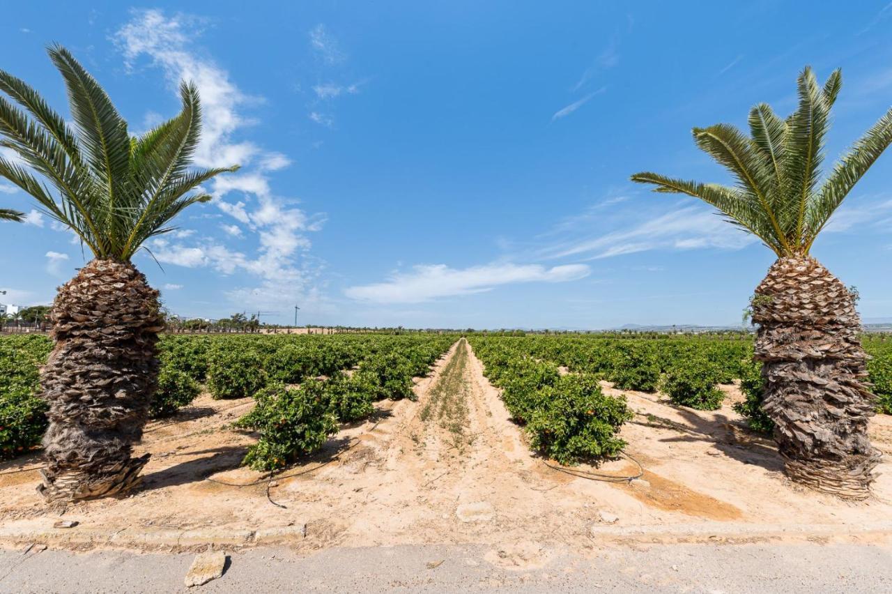 Casa Lago Jardin Alicante Eksteriør billede